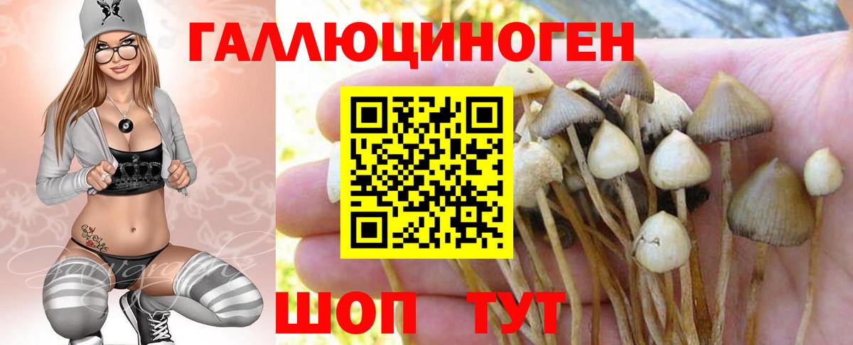Псилоцибиновые грибы Psilocybine cubensis  Вход с VPN  Псилоцибиновые грибы Magic Shrooms  Печора 